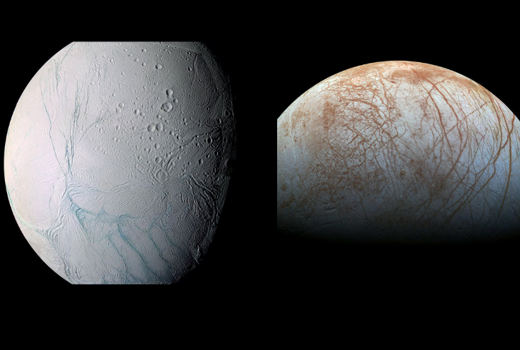 Europa and Enceladus may hold life.